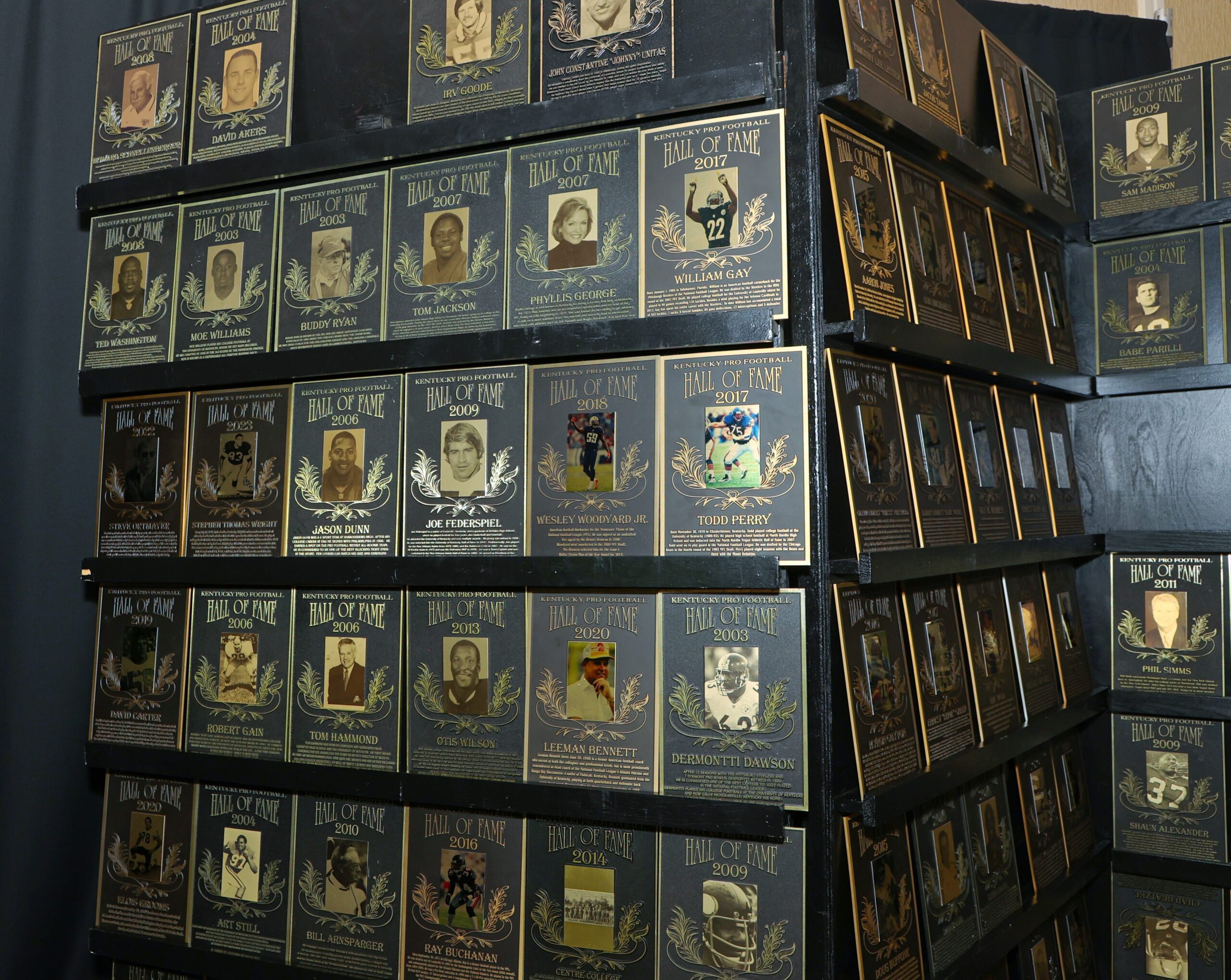 Plaques